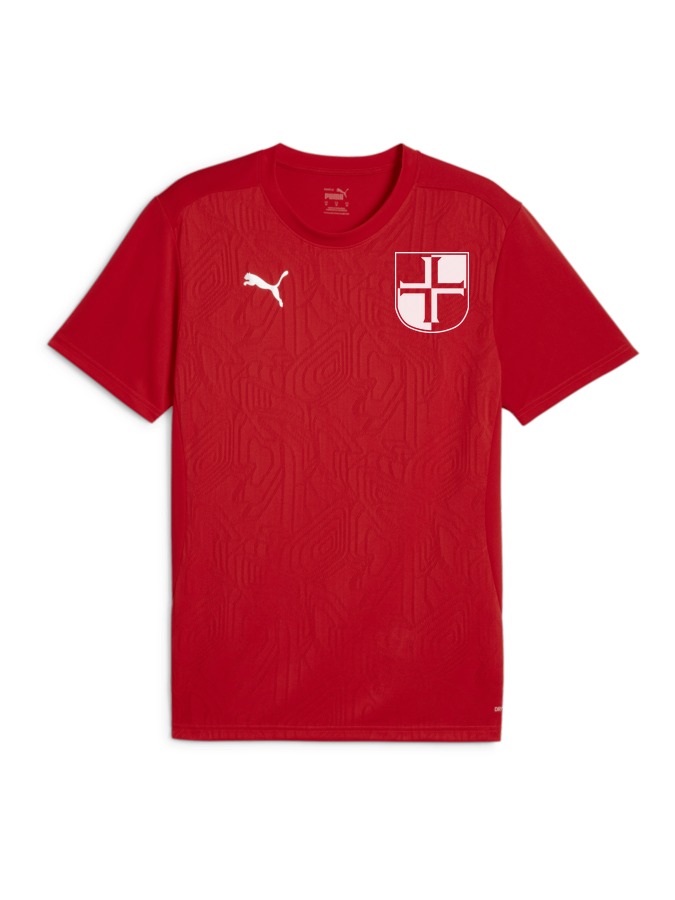 PUMA teamFINAL Trainingsshirt