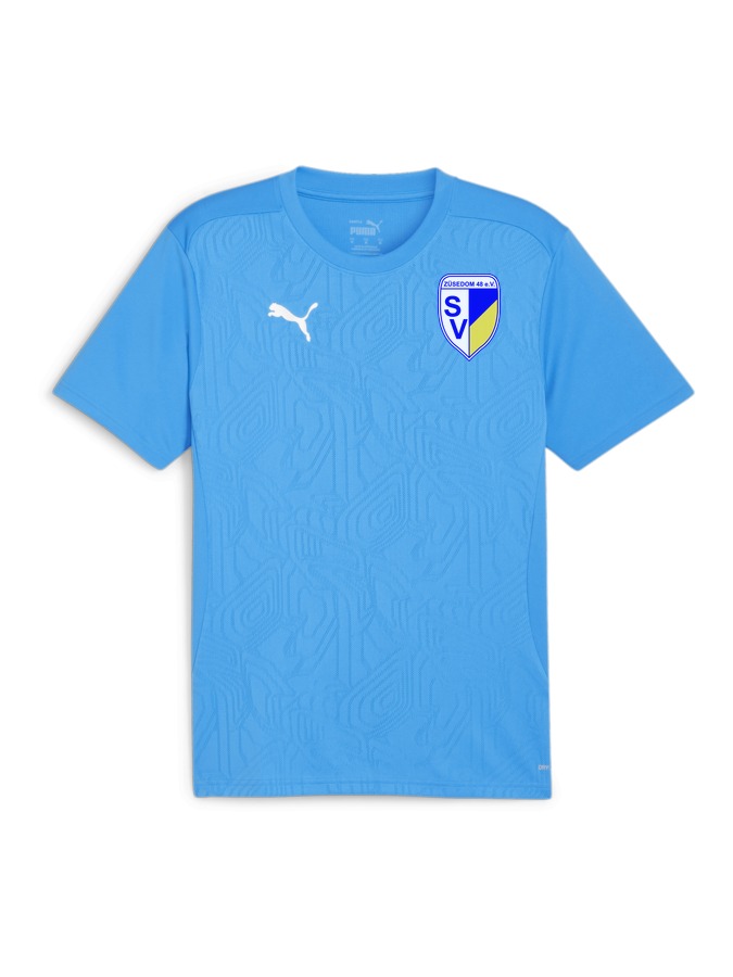 PUMA teamFINAL Trainingsshirt