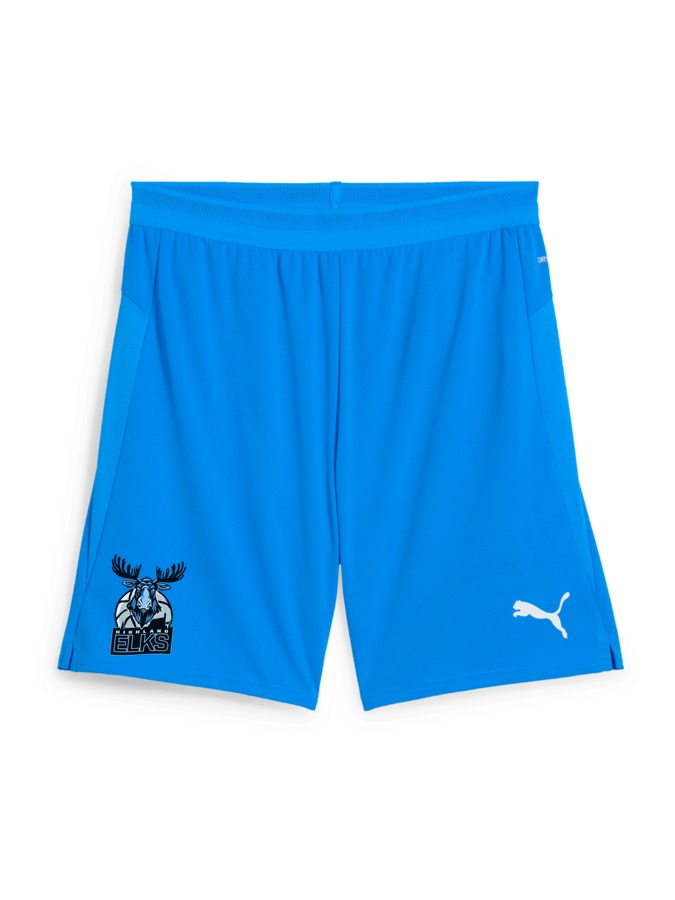 PUMA teamCUP Shorts