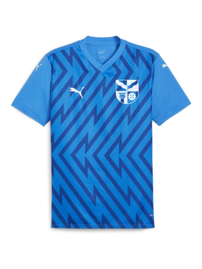 PUMA teamGLORY Trikot