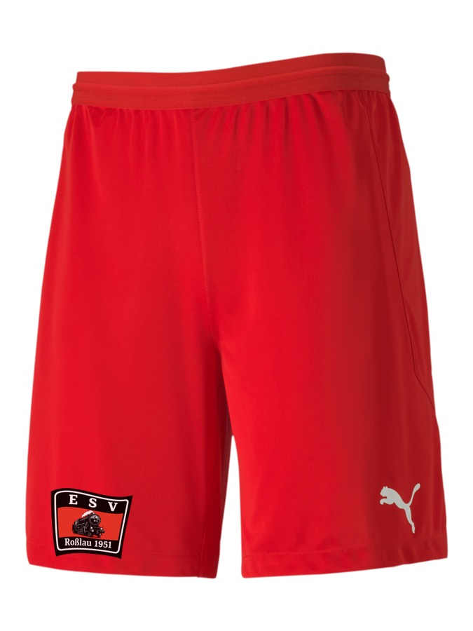 PUMA teamFINAL 21 Knit Shorts