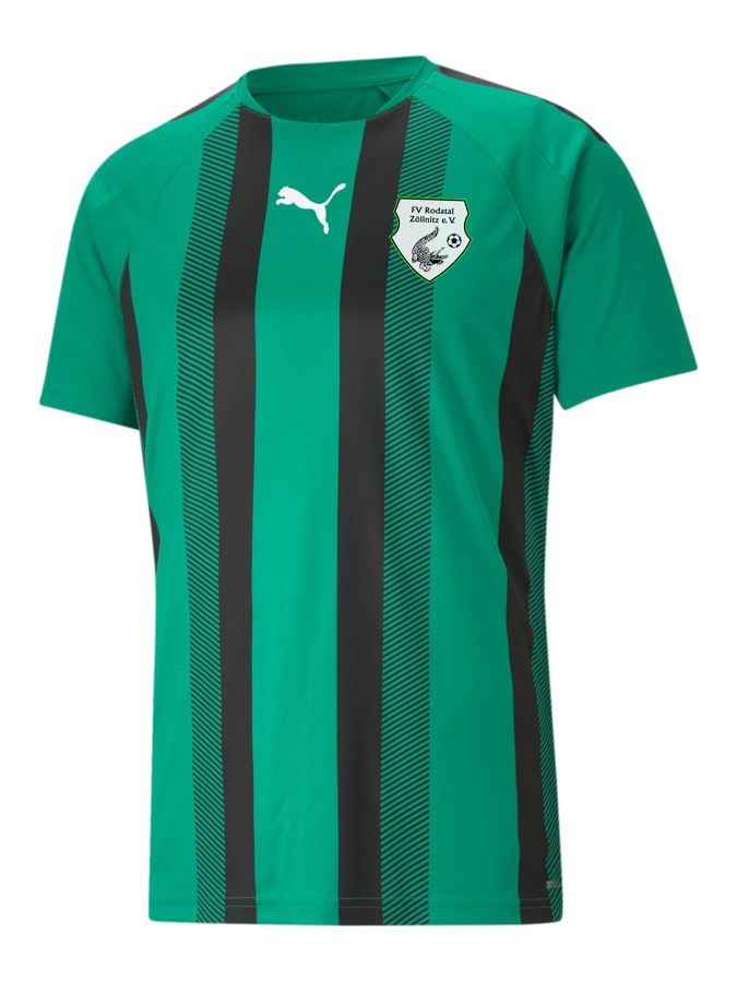 PUMA teamLIGA Striped Trikot