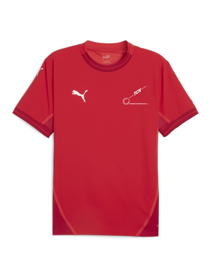PUMA teamFINAL Trikot