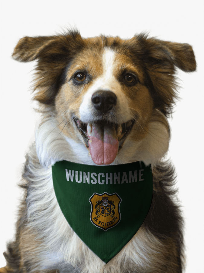 Hundehalstuch