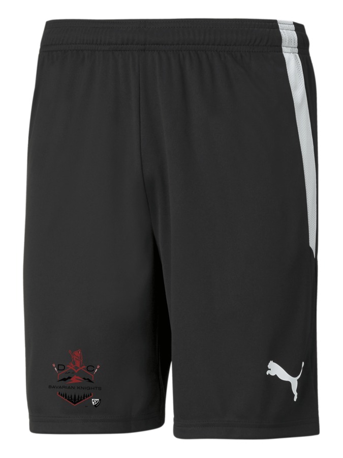 PUMA teamLIGA Shorts