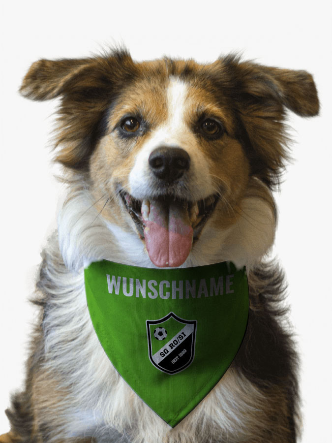 Hundehalstuch