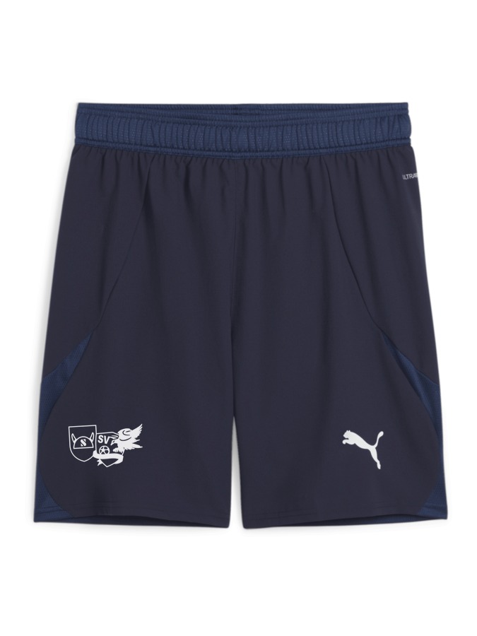 PUMA teamFINAL Shorts