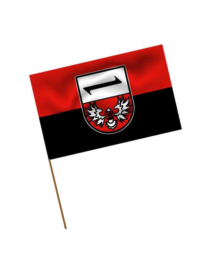 Stadionfahne Logo