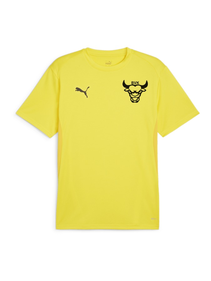 PUMA teamGOAL Trikot