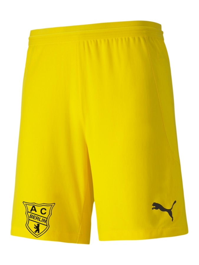 PUMA teamFINAL 21 Knit Shorts