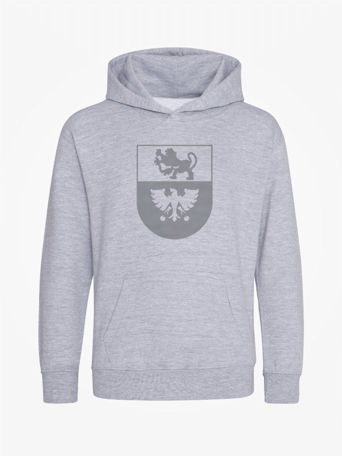 Hoodie All Grey Kids Unisex