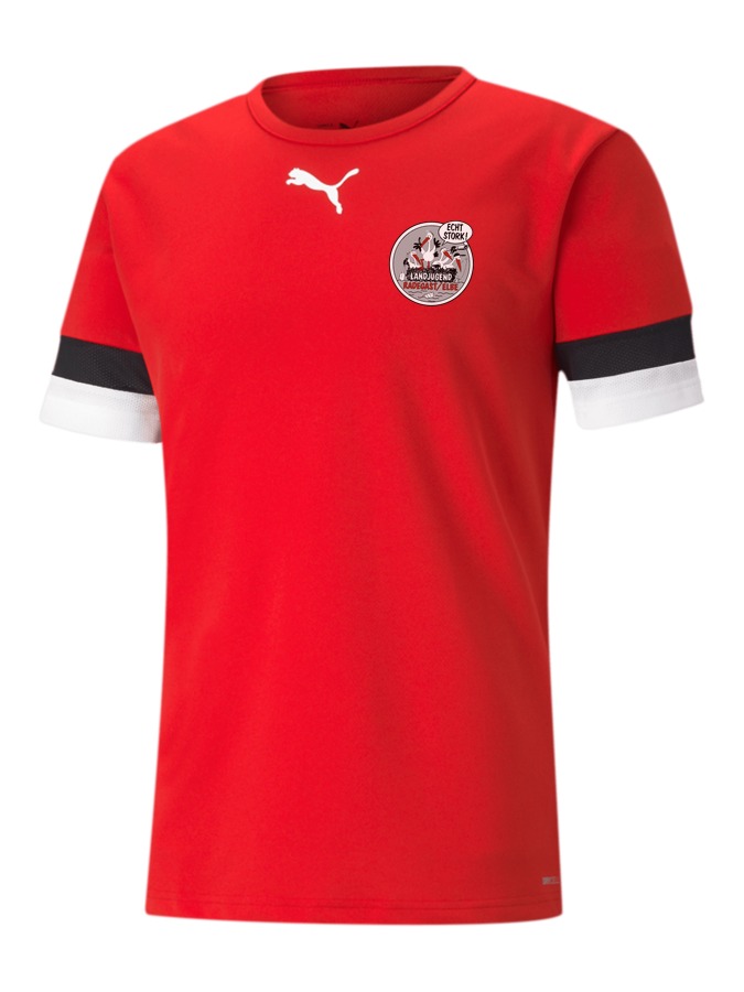 PUMA teamRISE Trikot