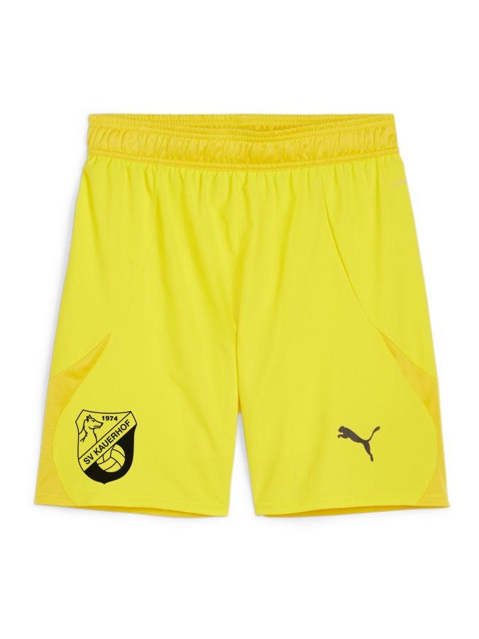 PUMA teamFINAL Shorts