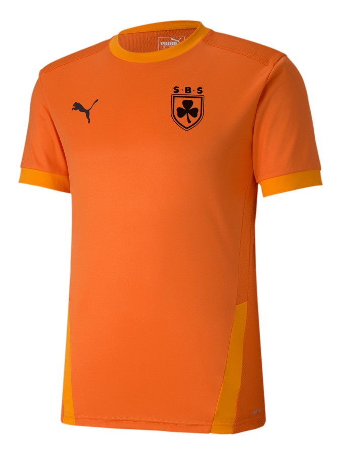 PUMA teamGOAL 23 Trikot