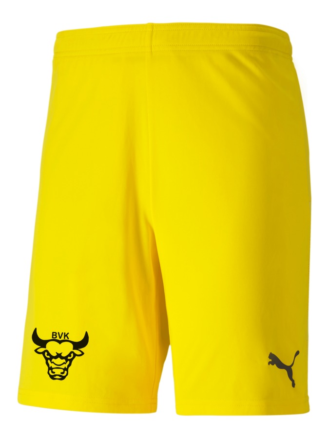 PUMA teamGOAL 23 Knit Shorts