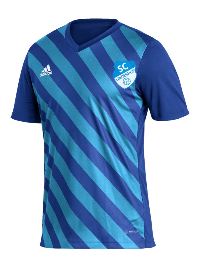 adidas Entrada 22 GFX Trikot
