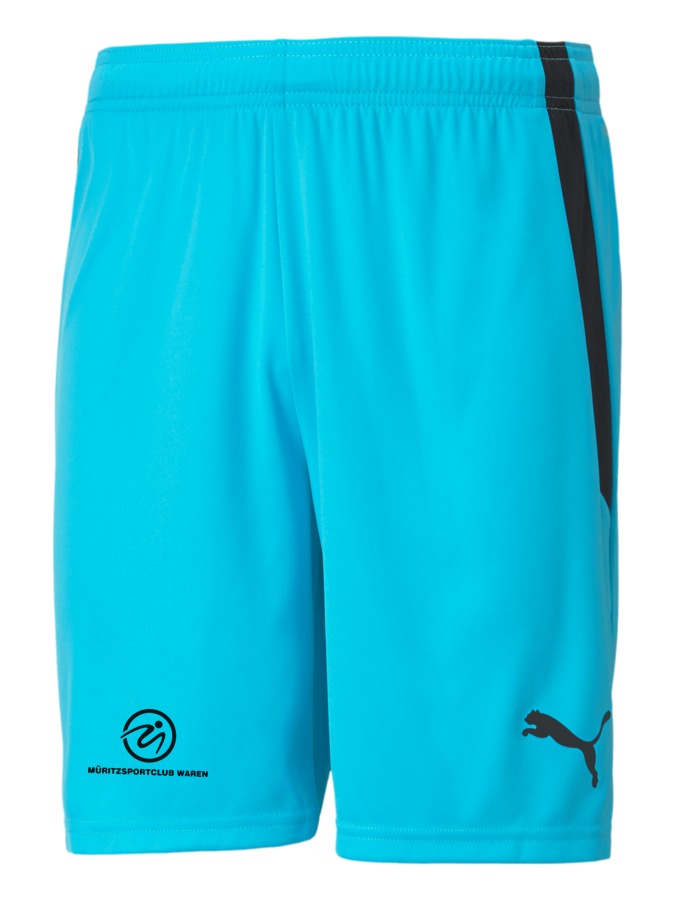 PUMA teamLIGA Shorts