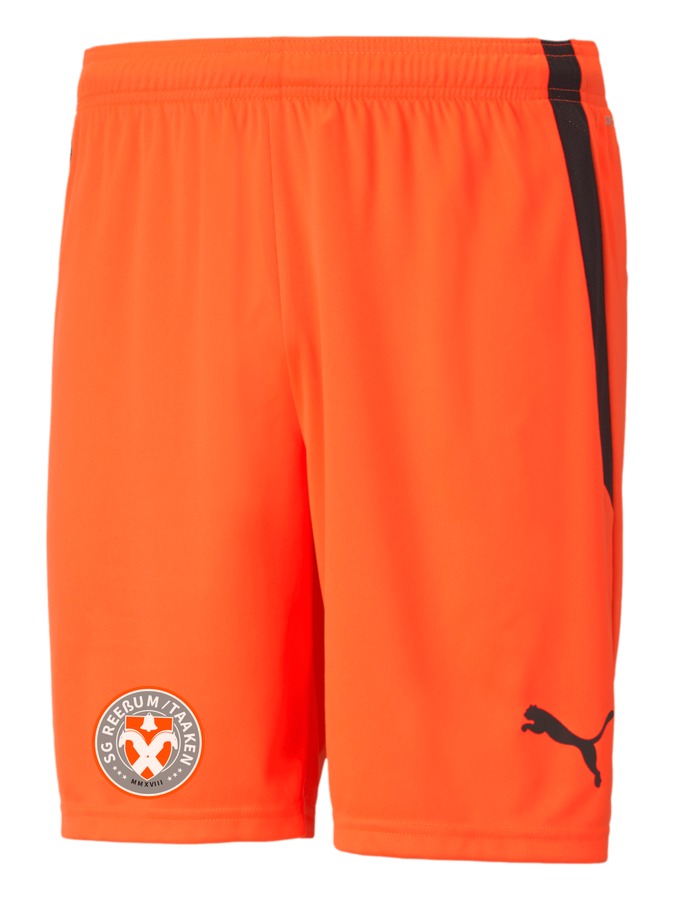 PUMA teamLIGA Shorts