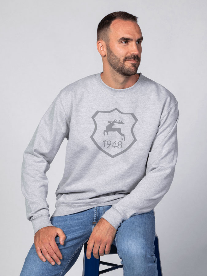 Sweater All Grey Herren