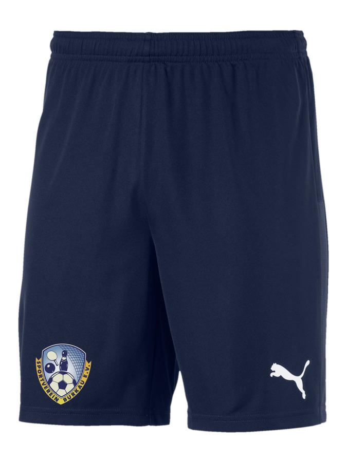 PUMA teamGOAL 23 Knit Shorts