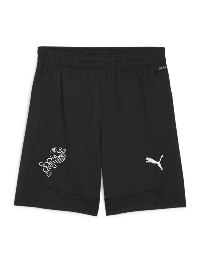 PUMA teamFINAL Training Shorts
