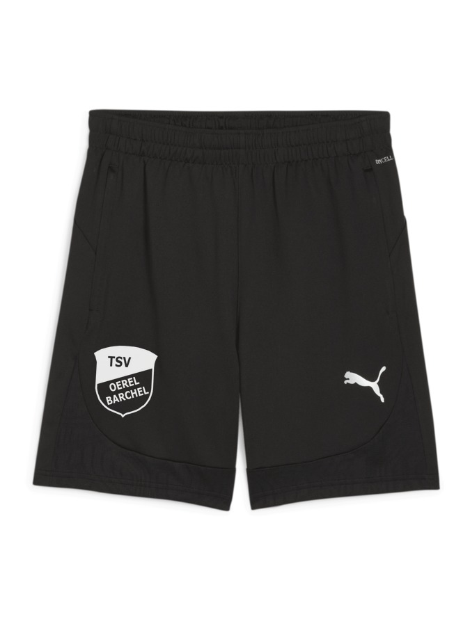 PUMA teamFINAL Training Shorts