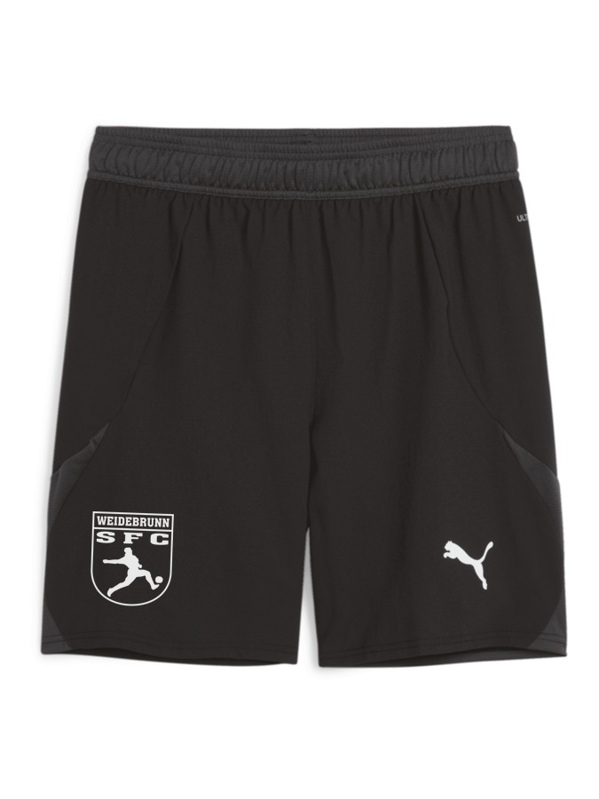 PUMA teamFINAL Shorts
