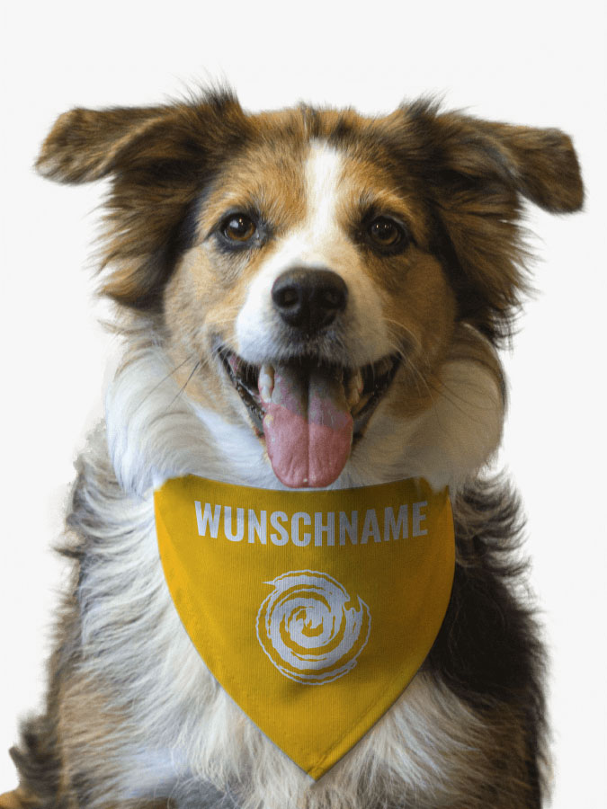 Hundehalstuch