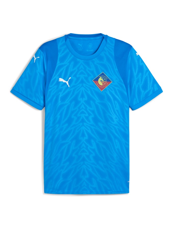 PUMA teamCUP Trikot