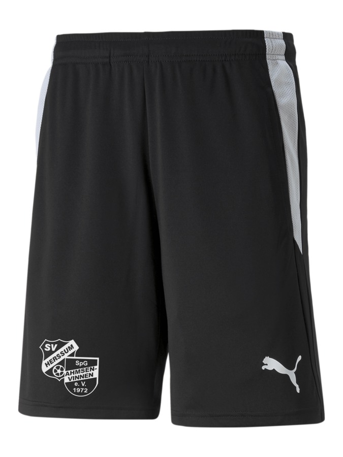 PUMA teamLIGA Referee Shorts