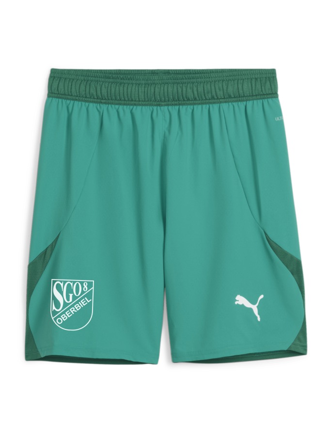 PUMA teamFINAL Shorts