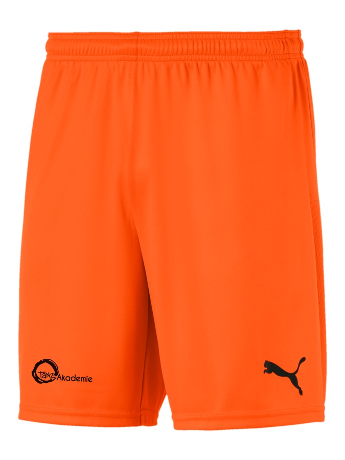 PUMA teamGOAL 23 Knit Shorts