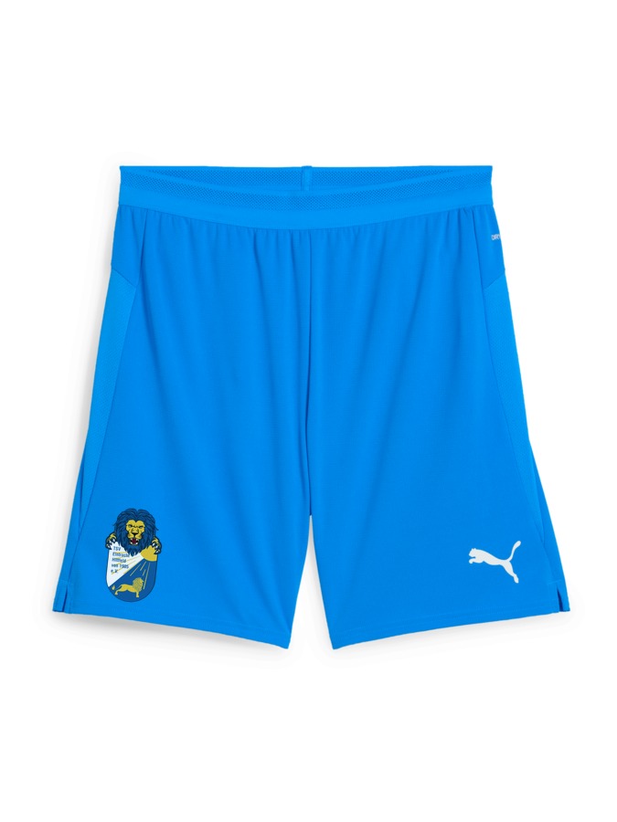 PUMA teamCUP Shorts