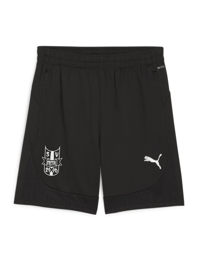 PUMA teamFINAL Training Shorts