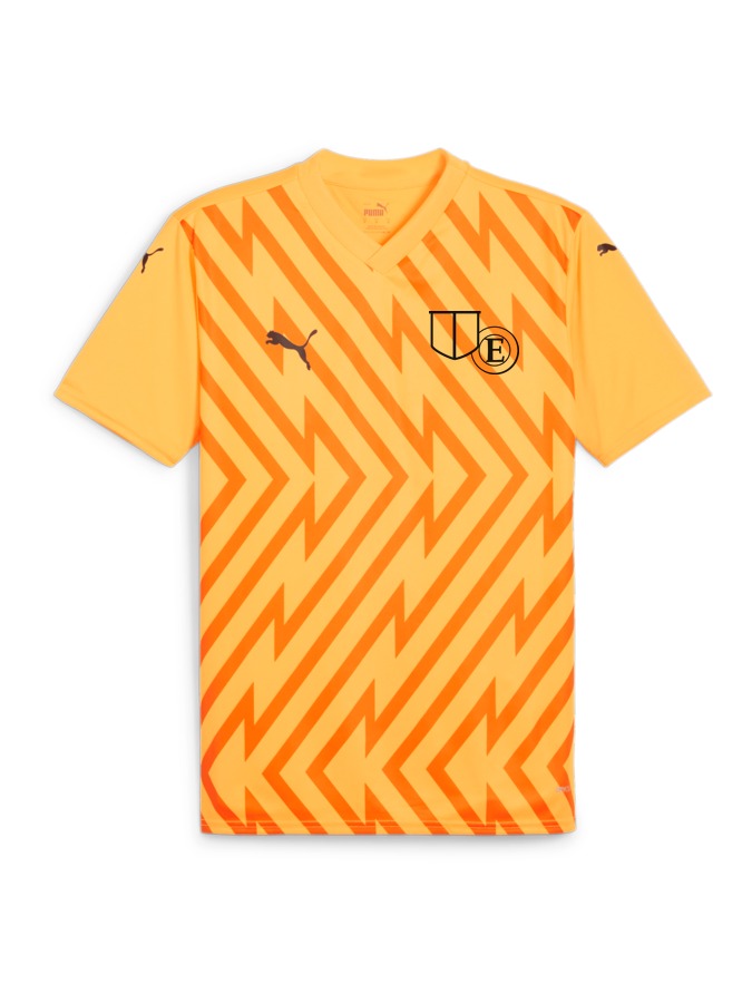 PUMA teamGLORY Trikot