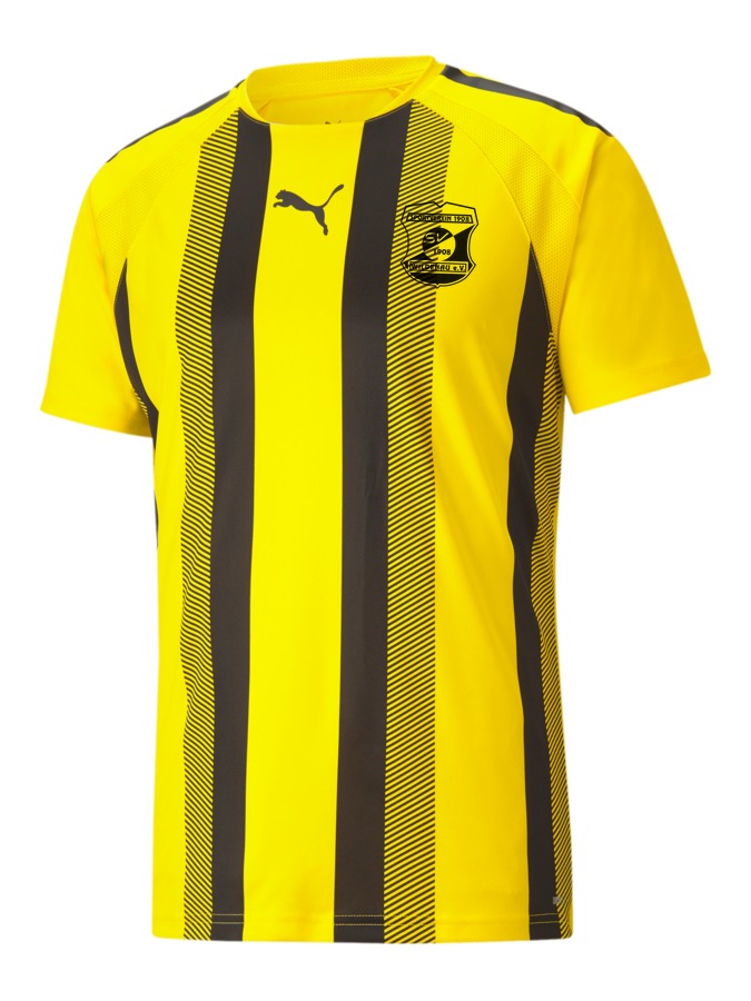 PUMA teamLIGA Striped Trikot