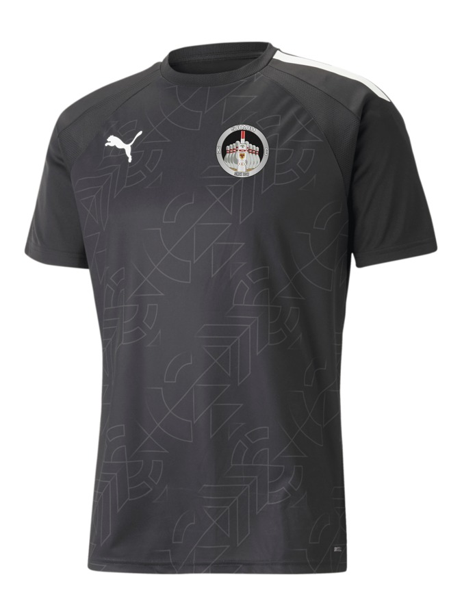 PUMA teamLIGA Graphic Trikot