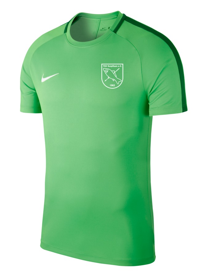 Nike Academy 18 Top