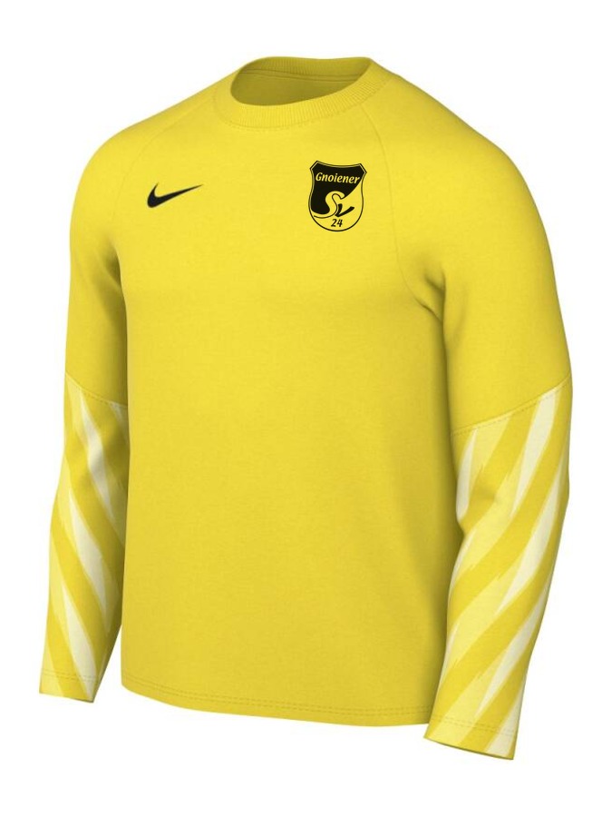 Nike Dri-FIT Park V Torwart Trikot Langarm