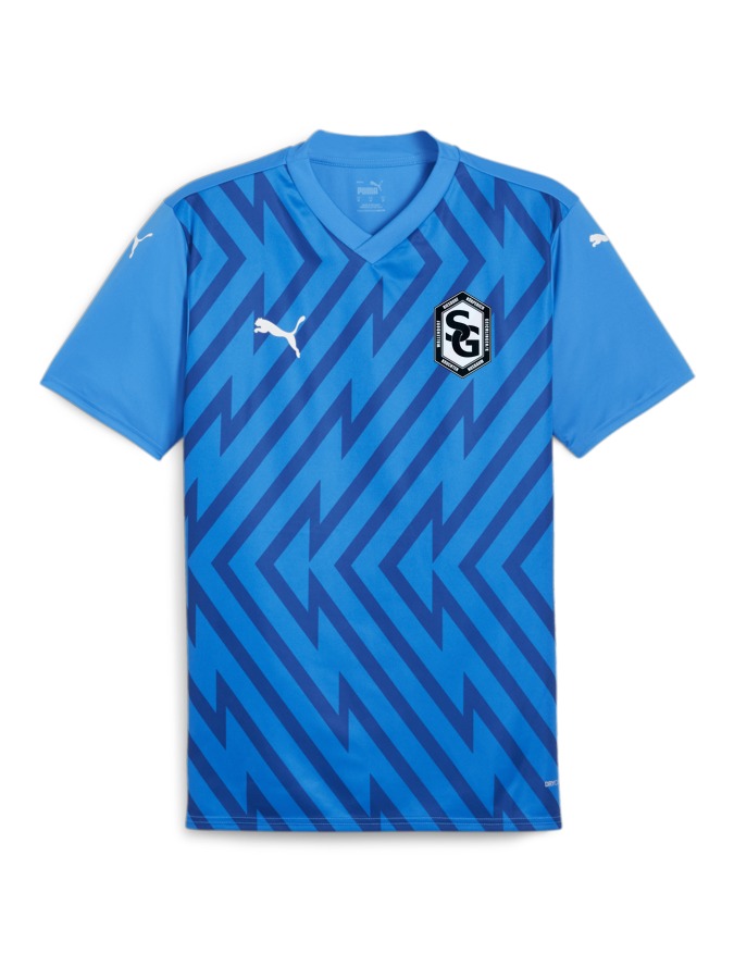 PUMA teamGLORY Trikot