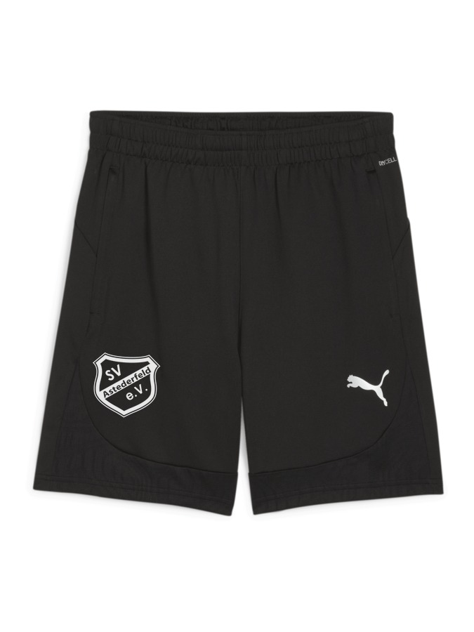 PUMA teamFINAL Training Shorts