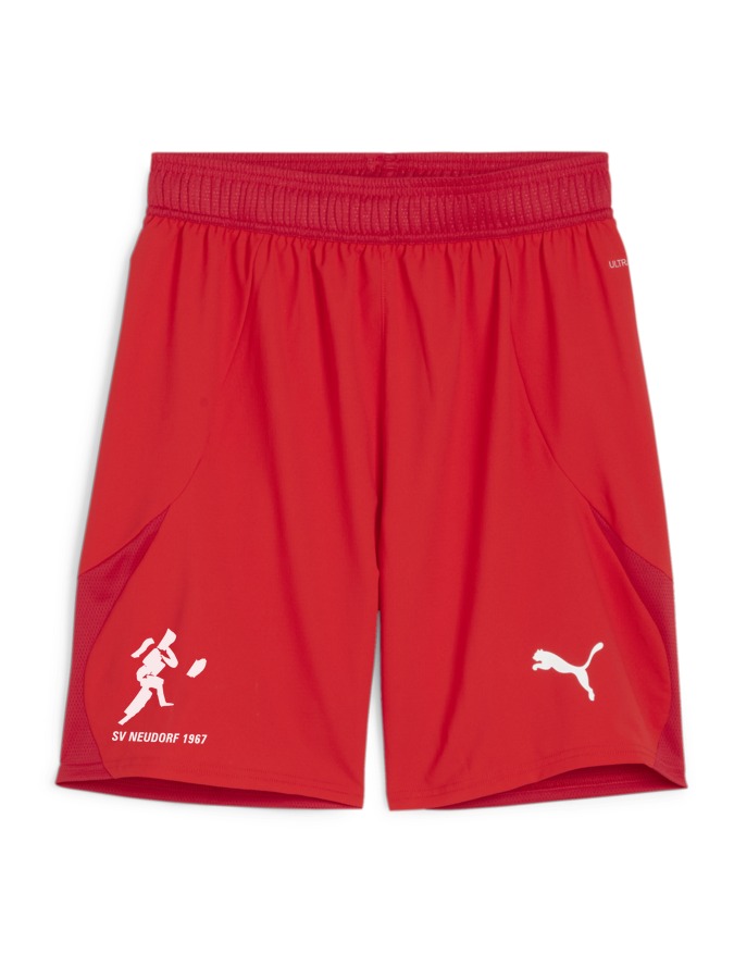 PUMA teamFINAL Shorts
