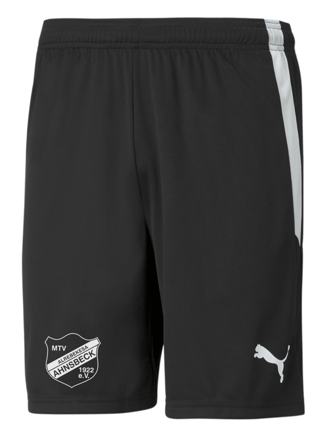 PUMA teamLIGA Shorts