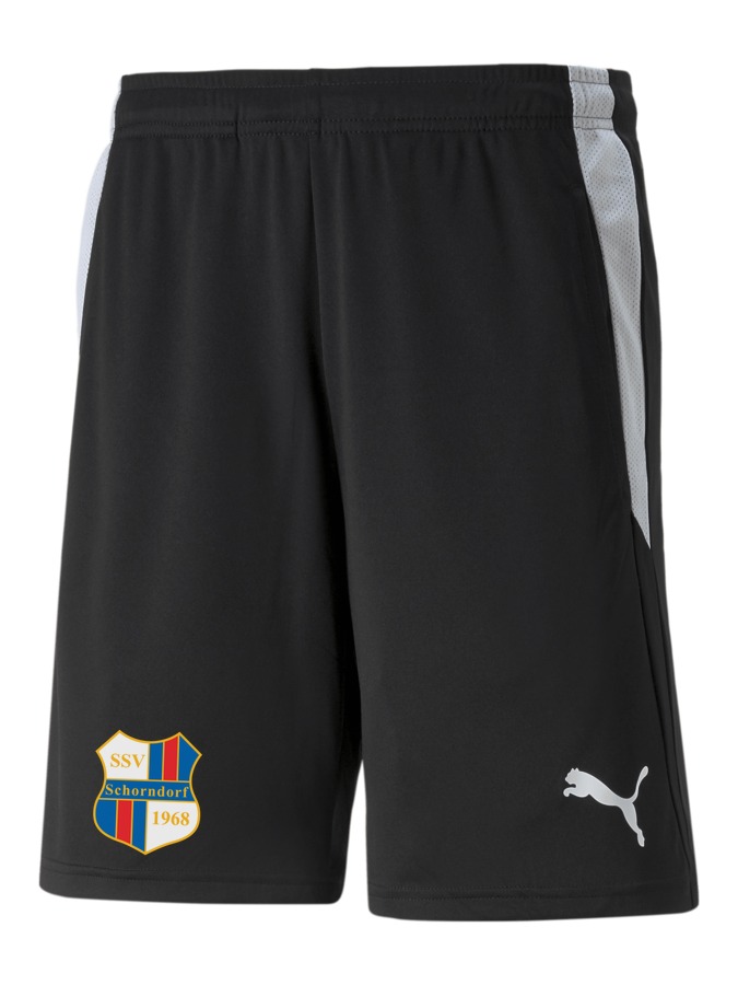 PUMA teamLIGA Referee Shorts
