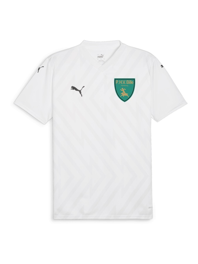 PUMA teamGLORY Trikot