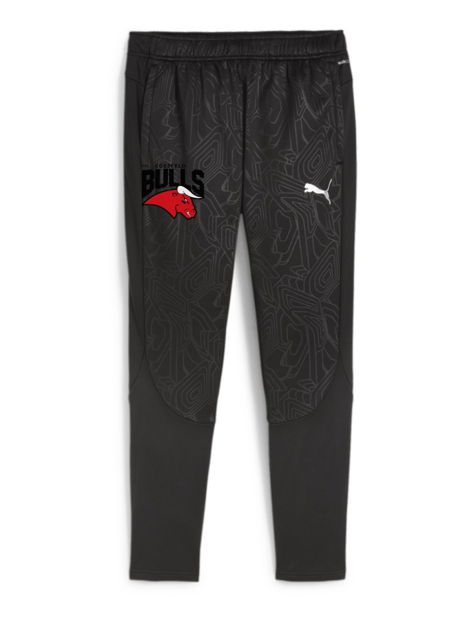 PUMA teamFINAL Warm Hose