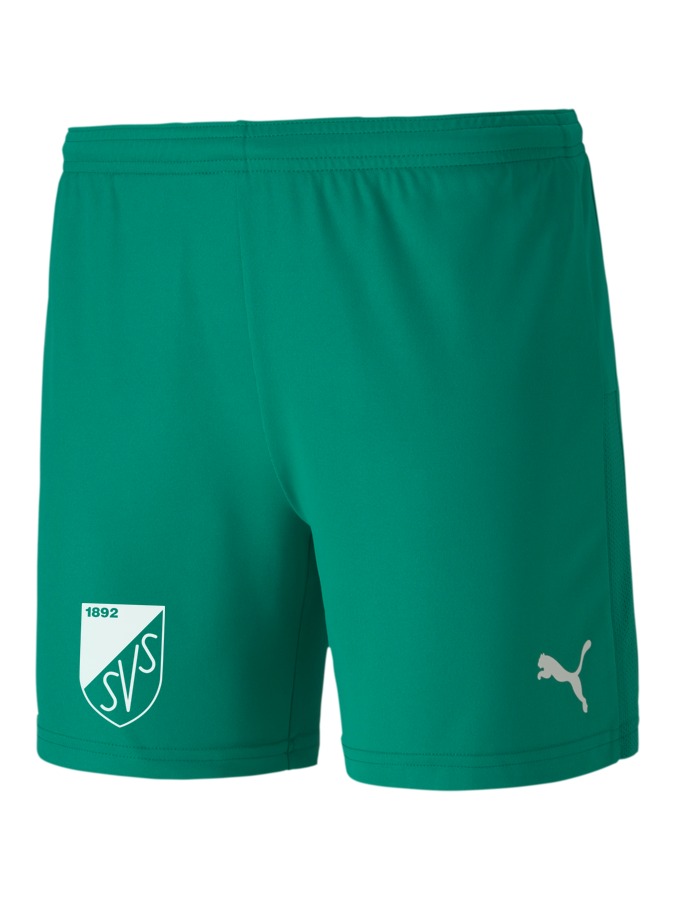 PUMA teamGOAL 23 Knit Shorts Damen