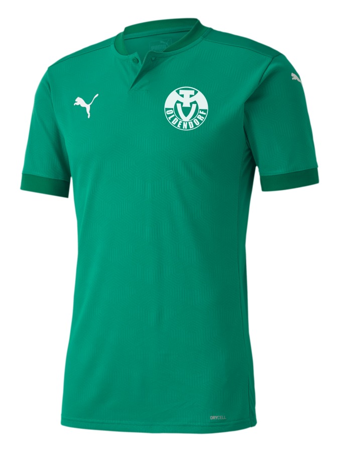 PUMA teamFINAL 21 Trikot