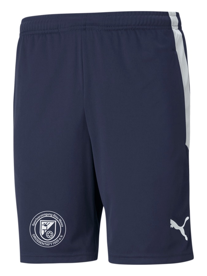 PUMA teamLIGA Training Shorts