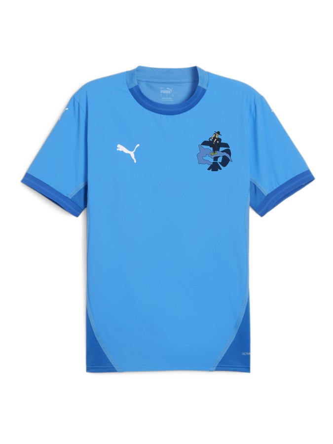 PUMA teamFINAL Trikot